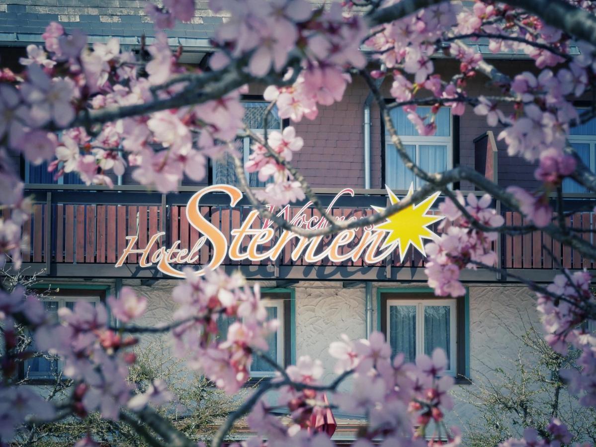 Wochner'S Hotel-Sternen Am Schluchsee Hochschwarzwald Dış mekan fotoğraf